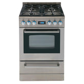 Avanti-Stainless Steel-Gas DGR24P3S