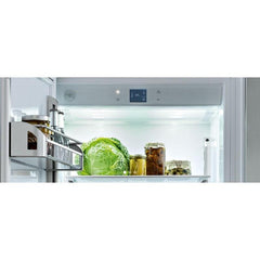 Bertazzoni-Stainless Steel-All Refrigerator REF36RCPIXL/23