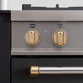 Bertazzoni-Control Knobs DSMASDKSG