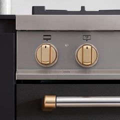 Bertazzoni-Control Knobs DSMASIKSG